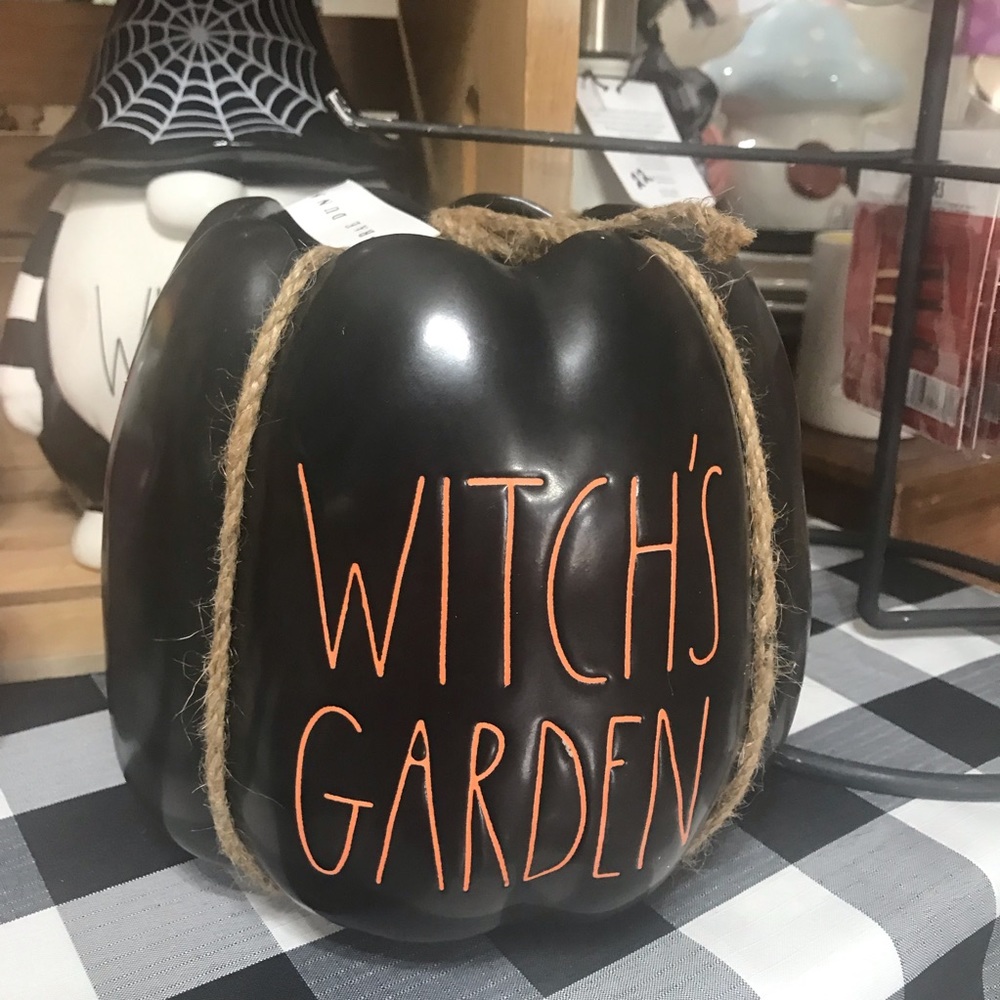 Rae dunn pumpkin planter